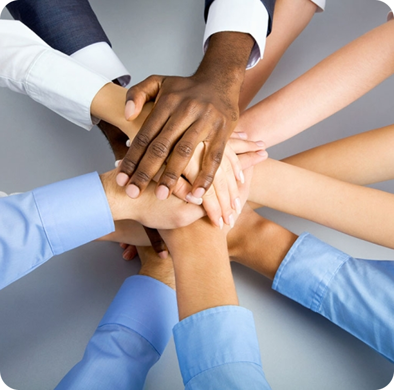 Build a Strong Team