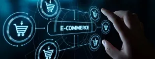 E-Commerce Platforms E-Commerce Platforms