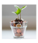 Finance And Insurance Finance-And-Insurance