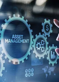 Investment & Asset Management Firms