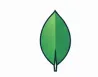 MongoDB