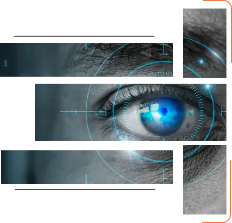 Our Vision